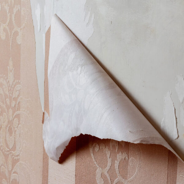 Commercial wallpaper installer working in Colorado office space